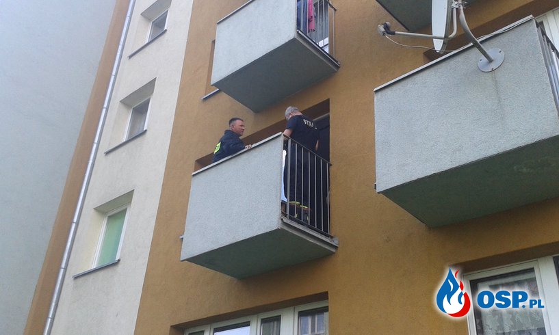 054- 09.05.2016 Barlinek ul Żabia 13 osy na balkonie OSP Ochotnicza Straż Pożarna