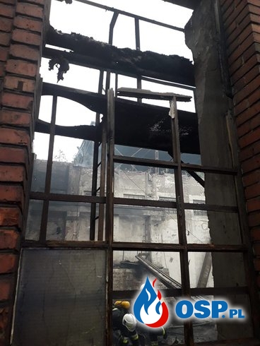 Nocny pożar na terenie huty w Ozimku. Dach zawalił się podczas akcji. OSP Ochotnicza Straż Pożarna
