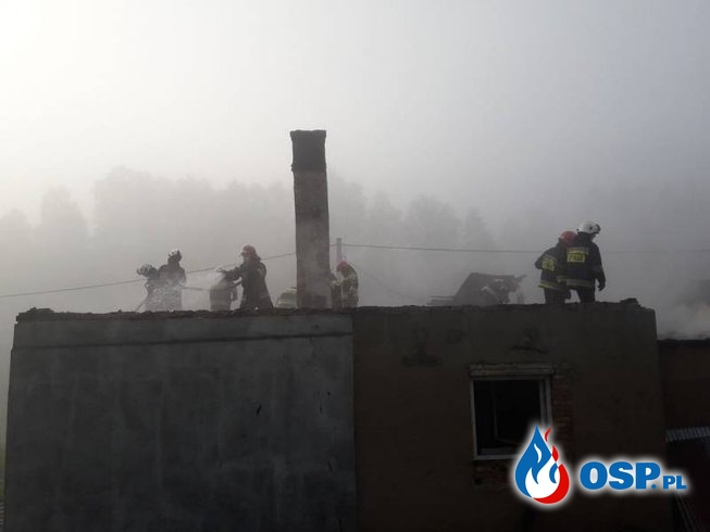 Pożar domu w Złockiem. To prawdopodobnie podpalenie. OSP Ochotnicza Straż Pożarna