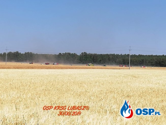 Pożar ścierniska i zboża na pniu OSP Ochotnicza Straż Pożarna