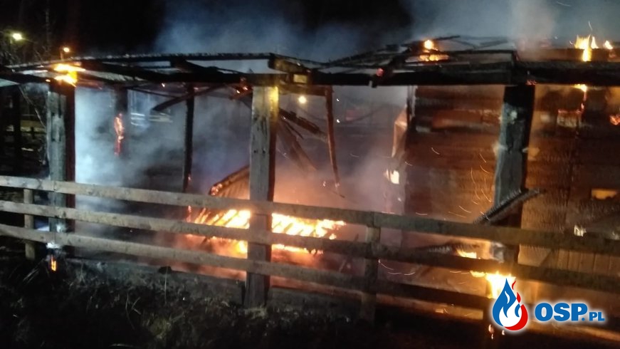 Groźny pożar na terenie stadniny koni i mini zoo. Poparzony właściciel trafił do szpitala. OSP Ochotnicza Straż Pożarna