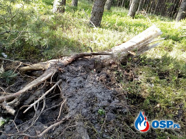 #2 Inne miejscowe zagrożenie - powalone drzewo OSP Ochotnicza Straż Pożarna