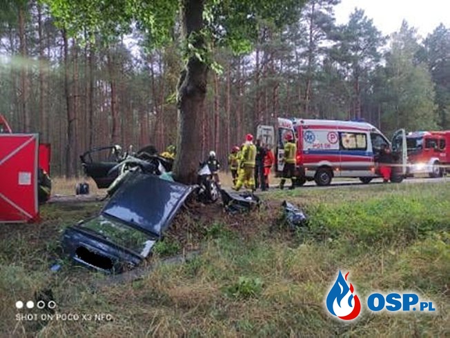 18-latka zginęła w wypadku. Jej auto rozbiło się na drzewie. OSP Ochotnicza Straż Pożarna