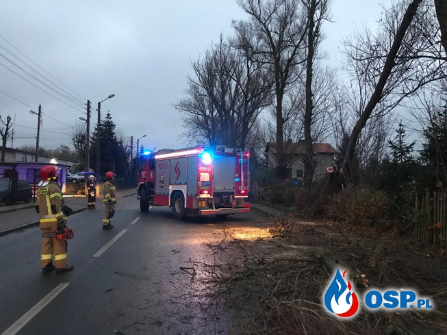207/2020 Niebezpiecznie złamane drzewo przy drodze OSP Ochotnicza Straż Pożarna