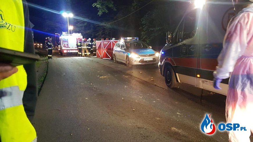 Auto dachowało na leśnej drodze w Małopolsce. Kierowca zginął. OSP Ochotnicza Straż Pożarna