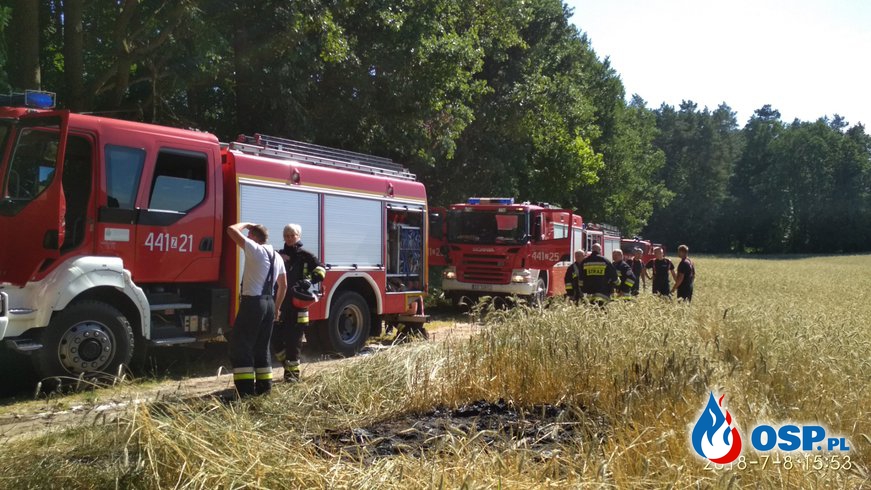 2018-07-08 Wyjazd do pożaru lasu w Witnie OSP Ochotnicza Straż Pożarna