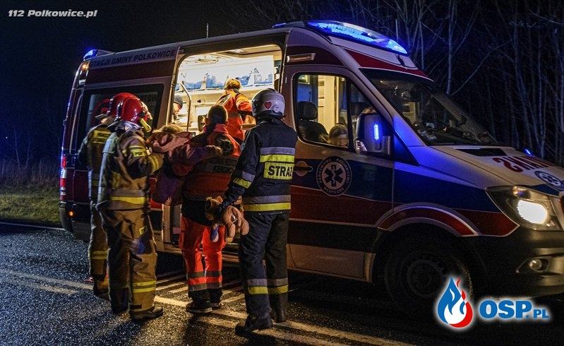 BMW uderzyło w drzewo, 6 osób poszkodowanych. Wśród rannych są dzieci. OSP Ochotnicza Straż Pożarna