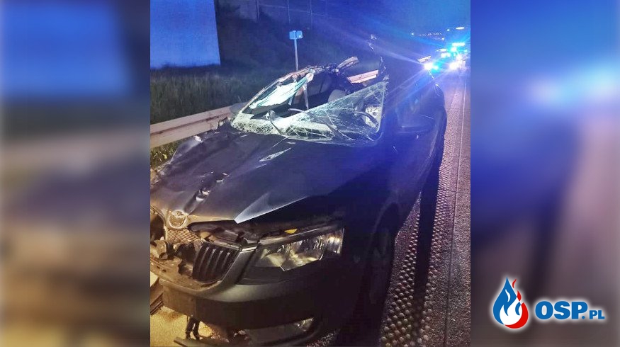 Tragiczny finał zderzenia samochodu z łosiem. Nie żyje 35-latek. OSP Ochotnicza Straż Pożarna
