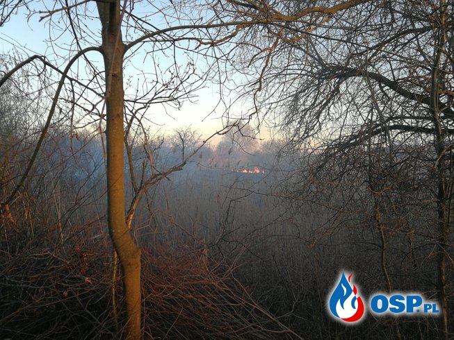 Pożar w Starym Objezierzu OSP Ochotnicza Straż Pożarna