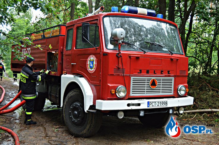 Pożar lasu Hamrzysko/Krucz OSP Ochotnicza Straż Pożarna