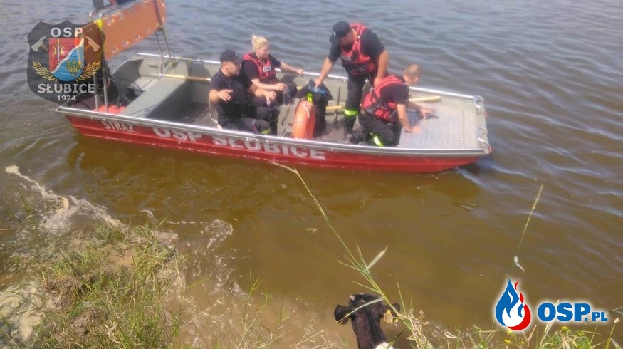 Zagrożenie na rzece, w użyciu łódź OSP Ochotnicza Straż Pożarna