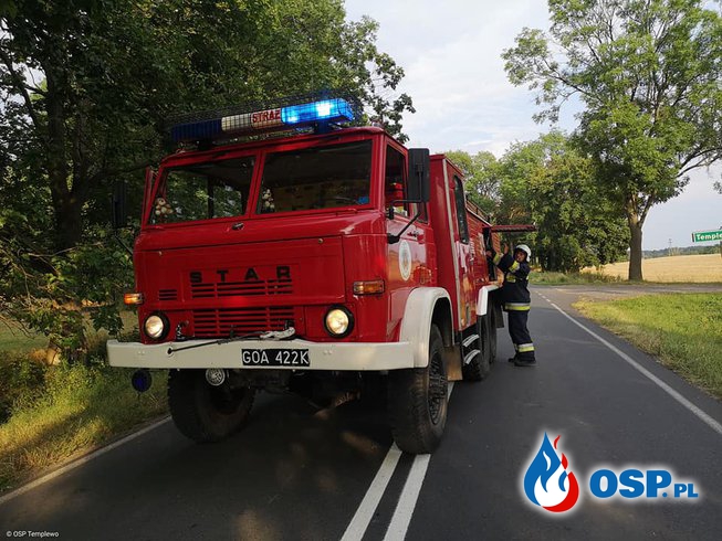 DW 137 - złamany konar powalony blokował jezdnię OSP Ochotnicza Straż Pożarna