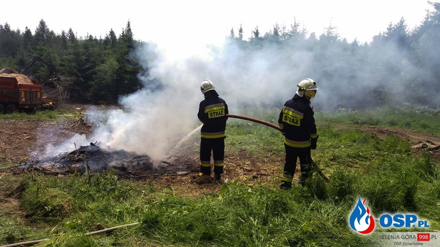 Chrośnica: Pożar w lesie. OSP Ochotnicza Straż Pożarna