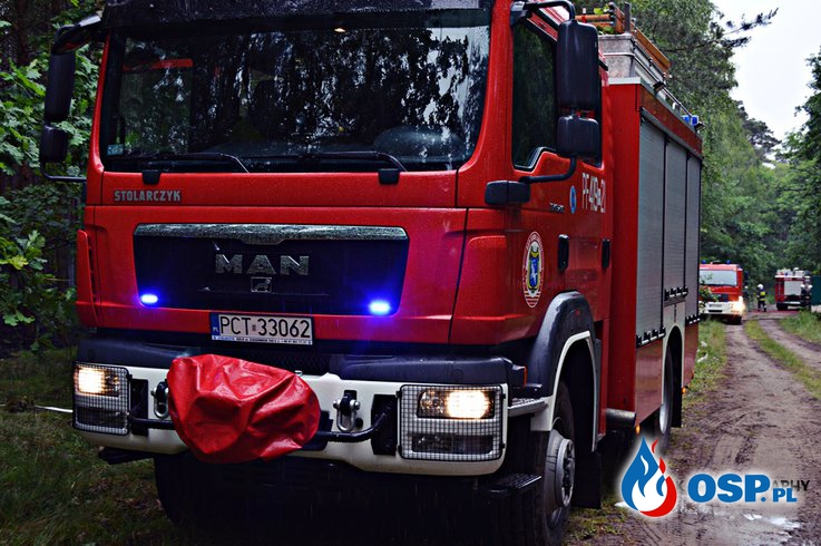 Pożar lasu Hamrzysko/Krucz OSP Ochotnicza Straż Pożarna