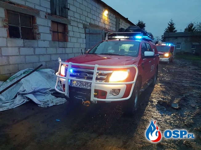 Strażacy uratowali zwierzę OSP Ochotnicza Straż Pożarna