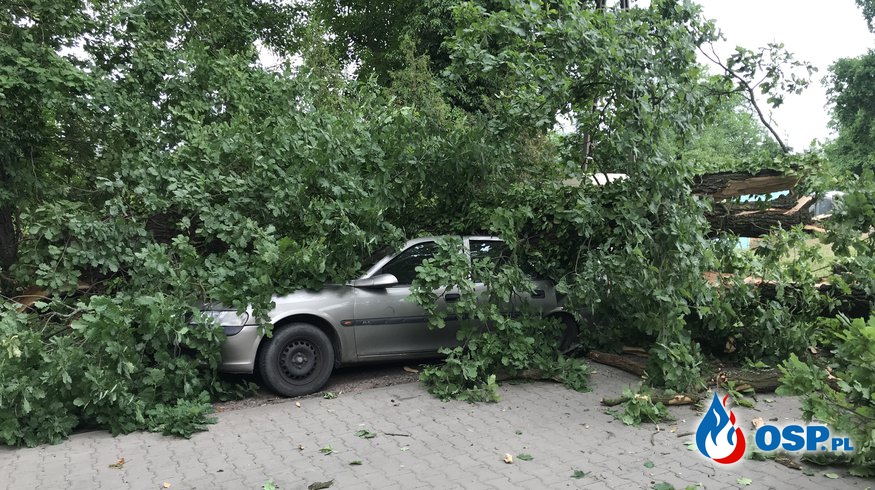 119/2021 Drzewo spadło na samochód OSP Ochotnicza Straż Pożarna