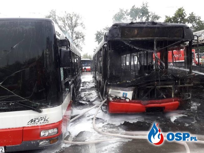 Trzy autobusy spłonęły na terenie zajezdni w Nowym Sączu OSP Ochotnicza Straż Pożarna