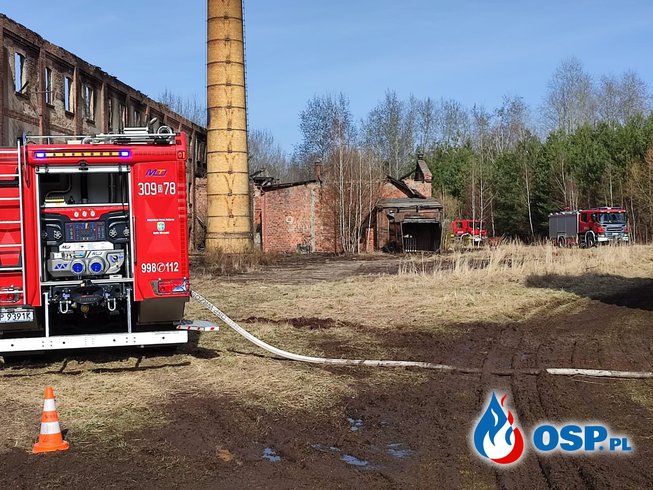 Pożar starej cegielni w Szydłowie. Długa akcja strażaków na Opolszczyźnie. OSP Ochotnicza Straż Pożarna