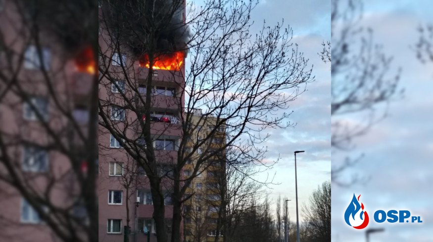 18-latka wyskoczyła z płonącego mieszkania na 6. piętrze. OSP Ochotnicza Straż Pożarna