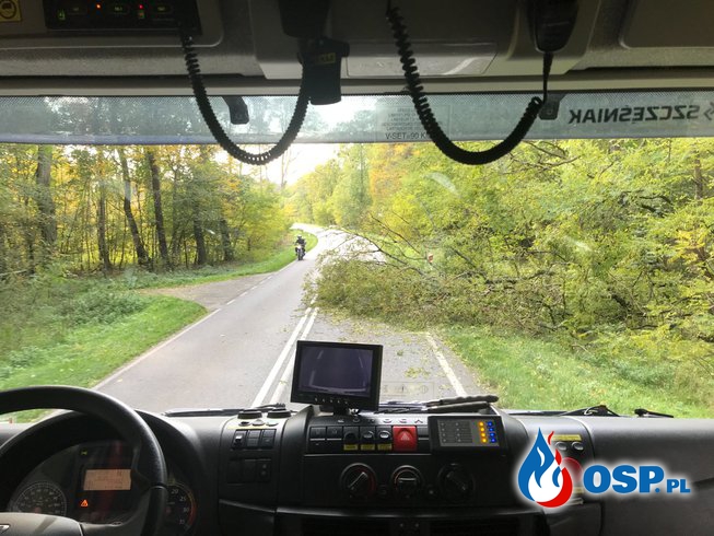 195/2020 Drzewo na drodze pomiędzy Chojną a Mętnem OSP Ochotnicza Straż Pożarna