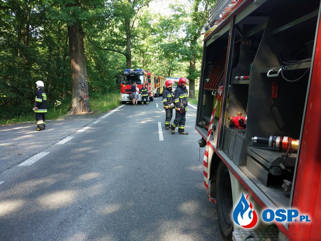 wypadek na DW 414, kierowca miał ponad 3 promile OSP Ochotnicza Straż Pożarna