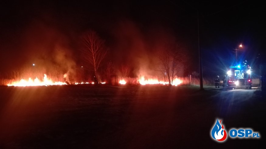 Pożar trawy w Czyżowicach. OSP Ochotnicza Straż Pożarna
