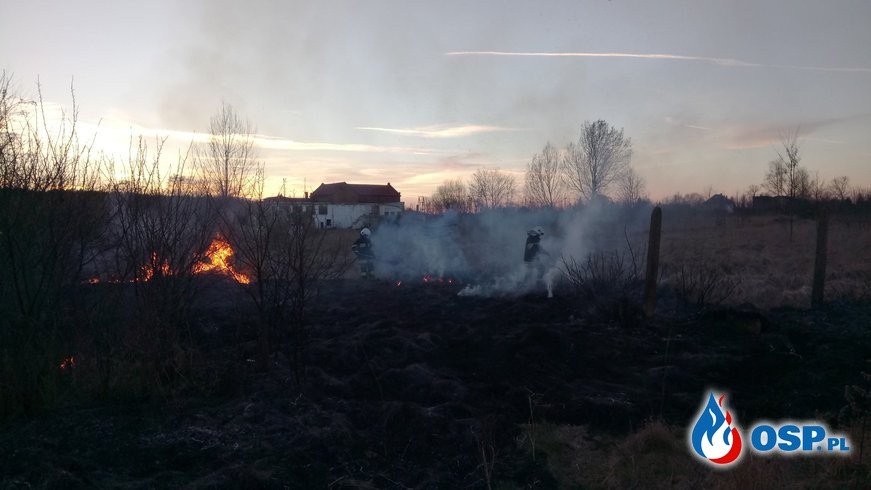 Wypalanie traw w pełni OSP Ochotnicza Straż Pożarna
