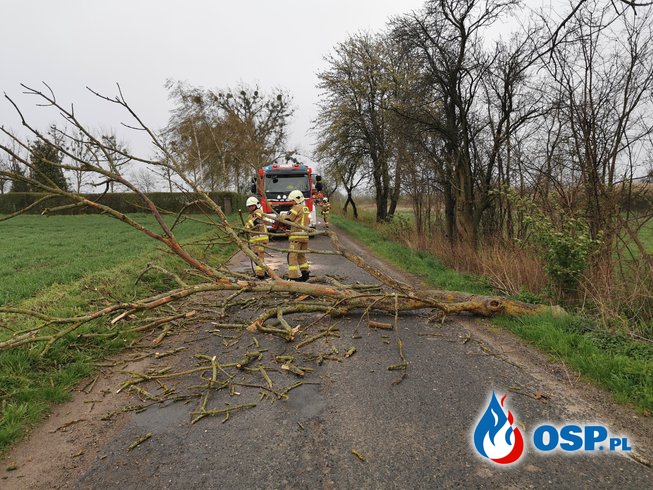 Drzewo blokowało przejazd OSP Ochotnicza Straż Pożarna