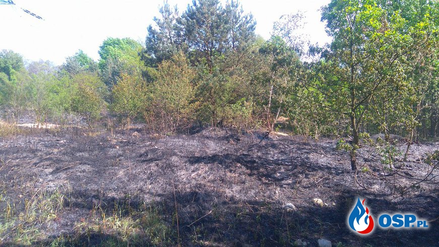 Pożar traw i nieużytków w Olszynach! OSP Ochotnicza Straż Pożarna