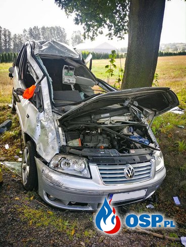 Volkswagen uderzył w fiata i rozbił się na drzewie. W akcji LPR. OSP Ochotnicza Straż Pożarna