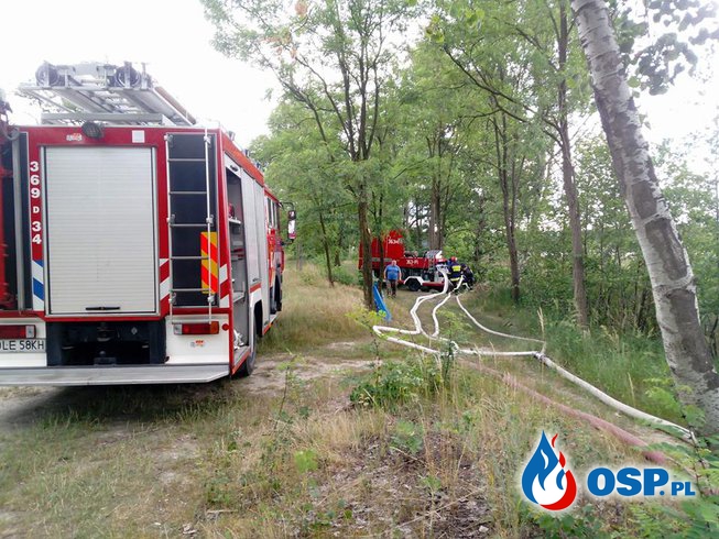 Niezapowiedziane ćwiczenia przeciwpowodziowe OSP Ochotnicza Straż Pożarna