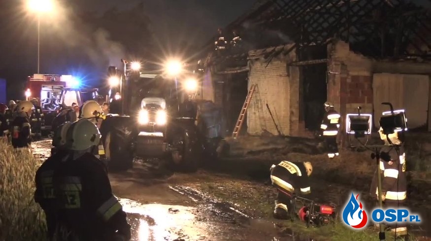 7 krów padło podczas pożaru. Ogień pojawił się po uderzeniu pioruna. OSP Ochotnicza Straż Pożarna