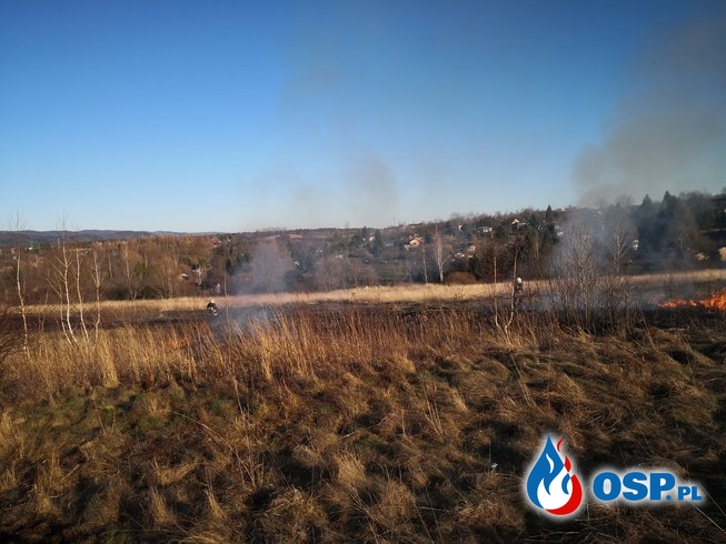 Słoneczna niedziela niestety dniem wypalania suchej trawy OSP Ochotnicza Straż Pożarna