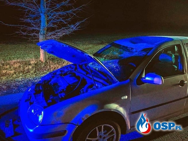 Dwa auta potrąciły jelenia, który wbiegł na drogę OSP Ochotnicza Straż Pożarna