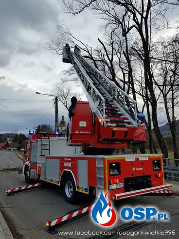 Dalsze sprzątanie po silnym wietrze OSP Ochotnicza Straż Pożarna