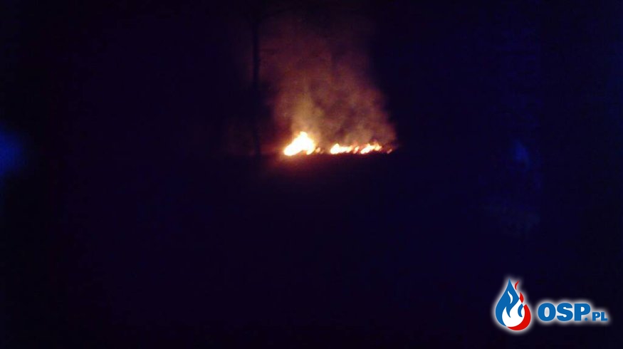Pożar sterty gałęzi przy drodze OSP Ochotnicza Straż Pożarna