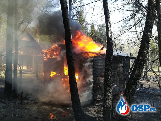 Pożary lasu oraz domków letniskowych OSP Ochotnicza Straż Pożarna