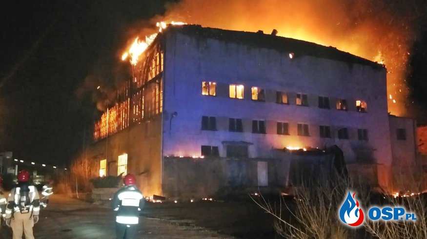 Potężny pożar hali w Tarnobrzegu. W akcji 20 zastępów strażaków. OSP Ochotnicza Straż Pożarna
