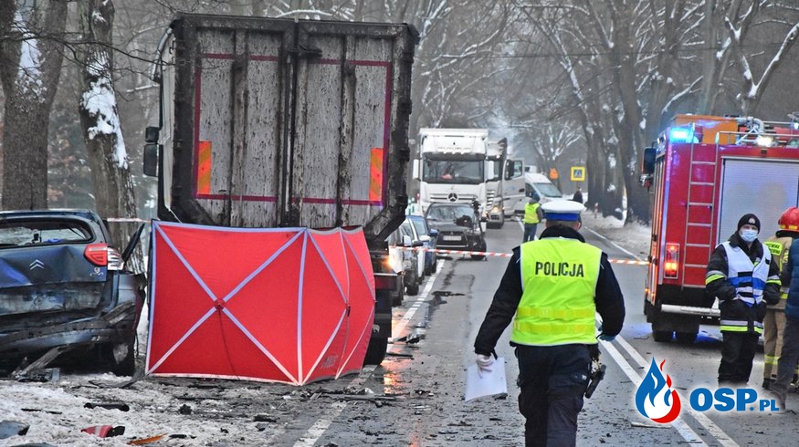 Tragiczny wypadek na DK 22 w Lubuskiem. Nie żyją 2 osoby. OSP Ochotnicza Straż Pożarna