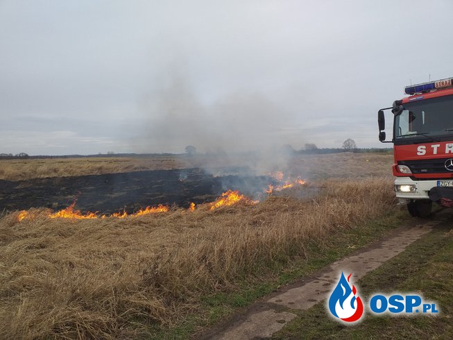 2019-02-08 Godz.13:40 ogień na łąkach OSP Ochotnicza Straż Pożarna