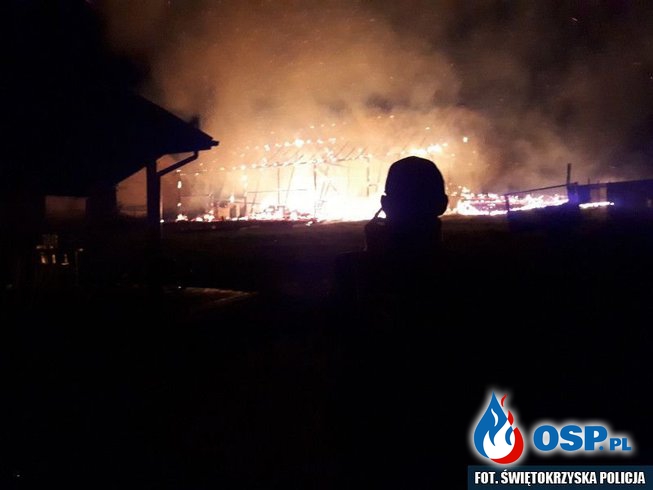 Grupa nastolatków zatrzymana za serię podpaleń! OSP Ochotnicza Straż Pożarna