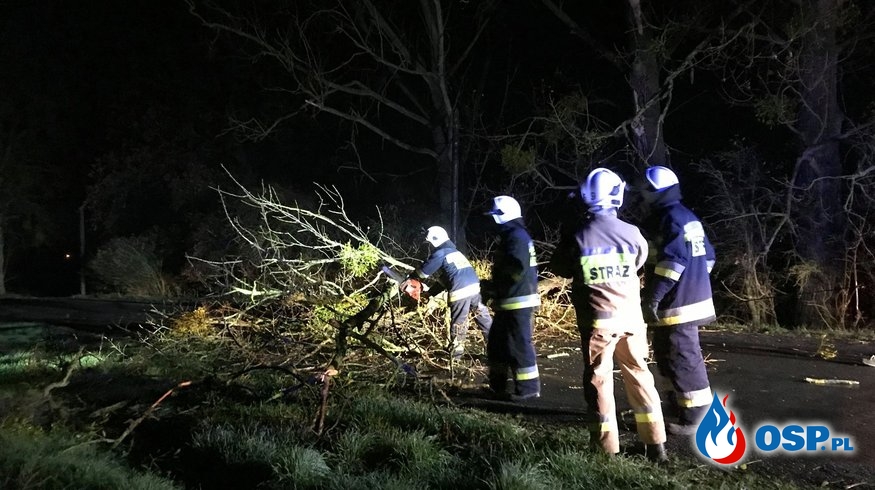 170/2019 Drzewo zablokowało drogę w Czartoryi OSP Ochotnicza Straż Pożarna