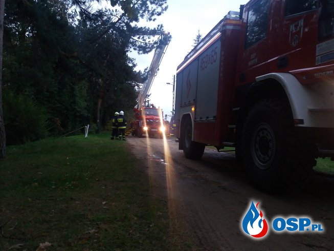 Usunięcie zagrażajacego drzewa przy pomocy SHD 23 OSP Ochotnicza Straż Pożarna