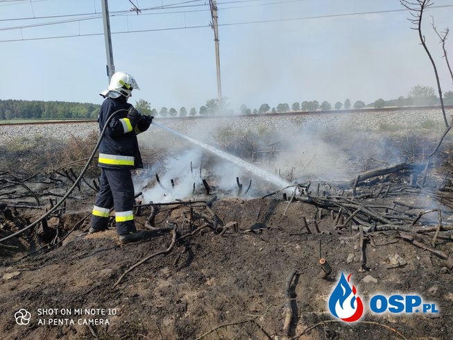 144-145/2020 Pożar przy nasypie w Granicznej i w Chojnie OSP Ochotnicza Straż Pożarna