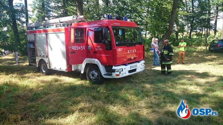 Pokaz strażacki na festynie w Donaborowie OSP Ochotnicza Straż Pożarna