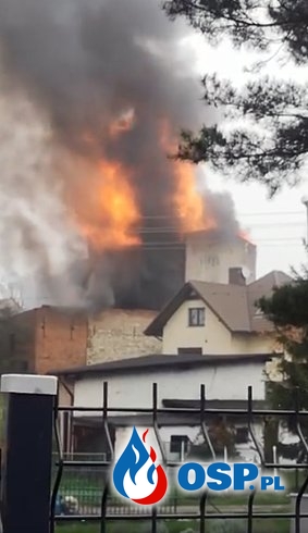 Pożar opuszczonego młyna w Toszku, w akcji 10 zastępów strażaków OSP Ochotnicza Straż Pożarna