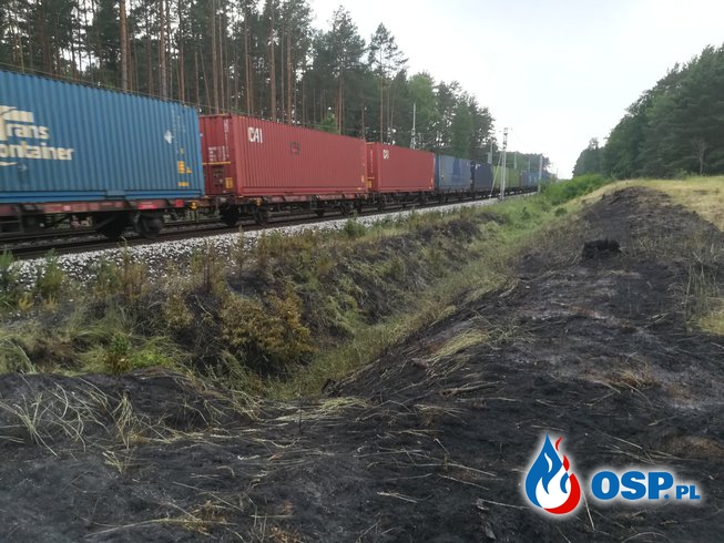 Pożar lasu i skarpy kolejowej OSP Ochotnicza Straż Pożarna
