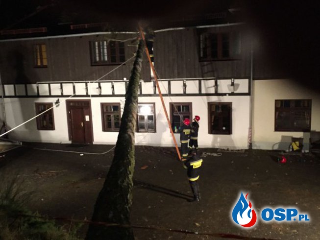 Przewrócone drzewo na dach hotelu „Opera” OSP Ochotnicza Straż Pożarna