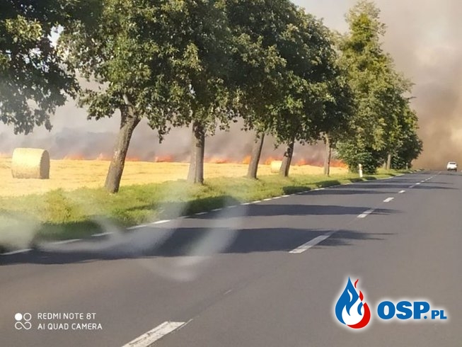 Ćmachowo – pożar ścierniska OSP Ochotnicza Straż Pożarna