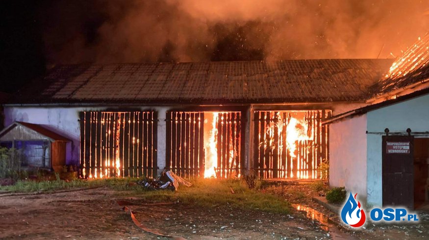 Pożar gospodarstwa w Żukowie. Część zwierząt nie przeżyła. OSP Ochotnicza Straż Pożarna